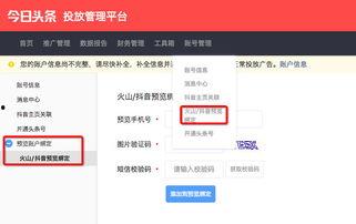 今日头条是dsp吗,揭秘其作为DSP平台的强大功能与优势