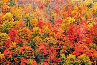 天桥沟头条,揭秘神秘沟壑，探寻自然奇观背后的故事