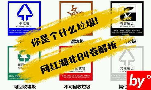 湖北网红B4试卷,揭秘热门话题背后的知识挑战