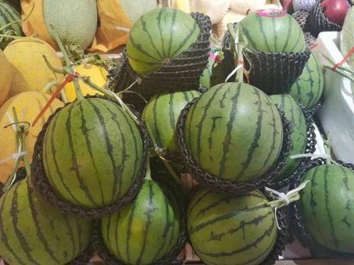 朝廷吃瓜系统的小,揭秘宫廷八卦背后的权力游戏