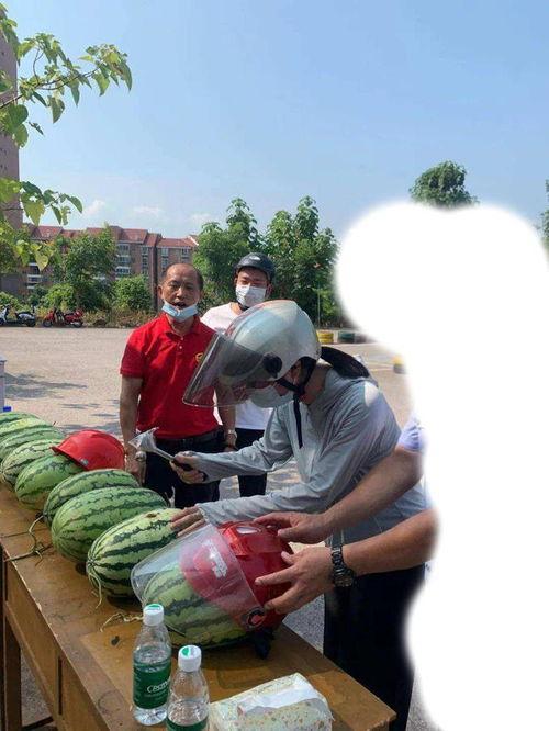 宁南吃瓜最新事件,揭秘背后真相与网络舆论风暴