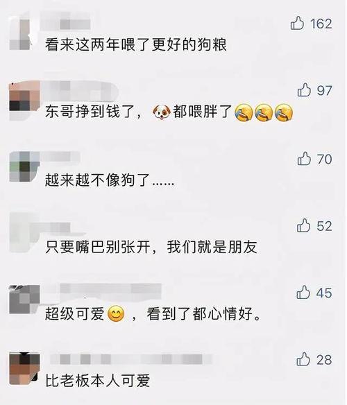 头条头像怎么搞,个性化定制与审美趋势