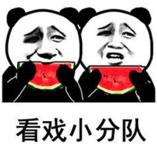 表情包旺财吃瓜,笑翻朋友圈的欢乐瞬间