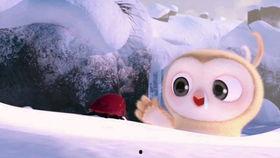 吃瓜搞笑动物视频,笑料横生！搞笑动物吃瓜视频大盘点