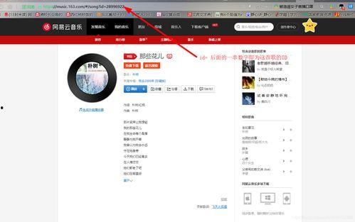 怎样让头条音乐更新,掌握最新音乐动态秘籍！”