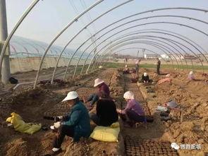 界首吃瓜最新事件,揭秘背后真相与网络舆论风暴