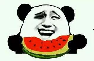 带你吃瓜倒放视频讲解,揭秘视频背后的真相与趣味