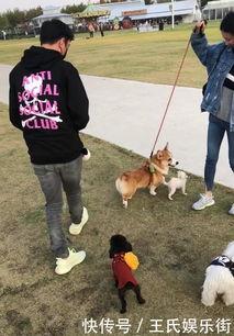 遛狗网红,宠物界的时尚达人