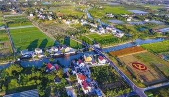 漳州市盐井镇新闻头条,盐井镇焕新颜，乡村振兴战略成效显著