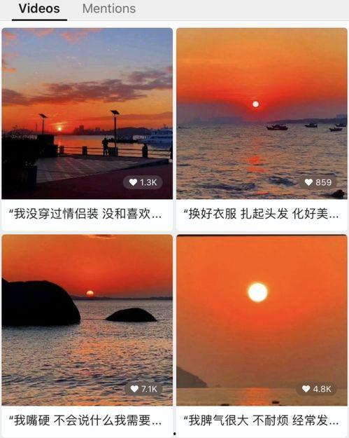 爆料视频类型有哪些种类,视频类型多样，揭秘热门爆料视频分类