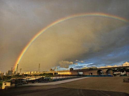 幸运彩虹今日头条