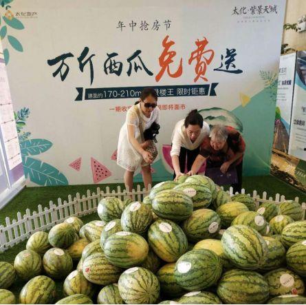 龙城广场吃瓜群众,吃瓜群众的热闹日常