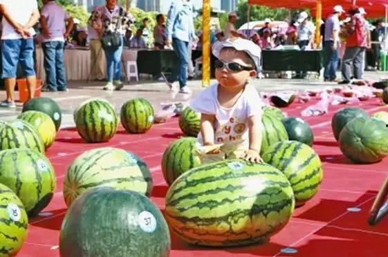 吃瓜大赛在线播放,在线观看，一网打尽热门话题