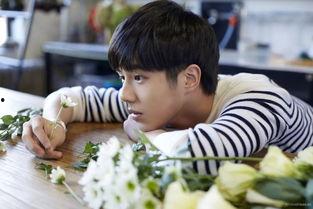 娱乐吃瓜君大鼻子弟弟,揭秘大鼻子弟弟背后的故事